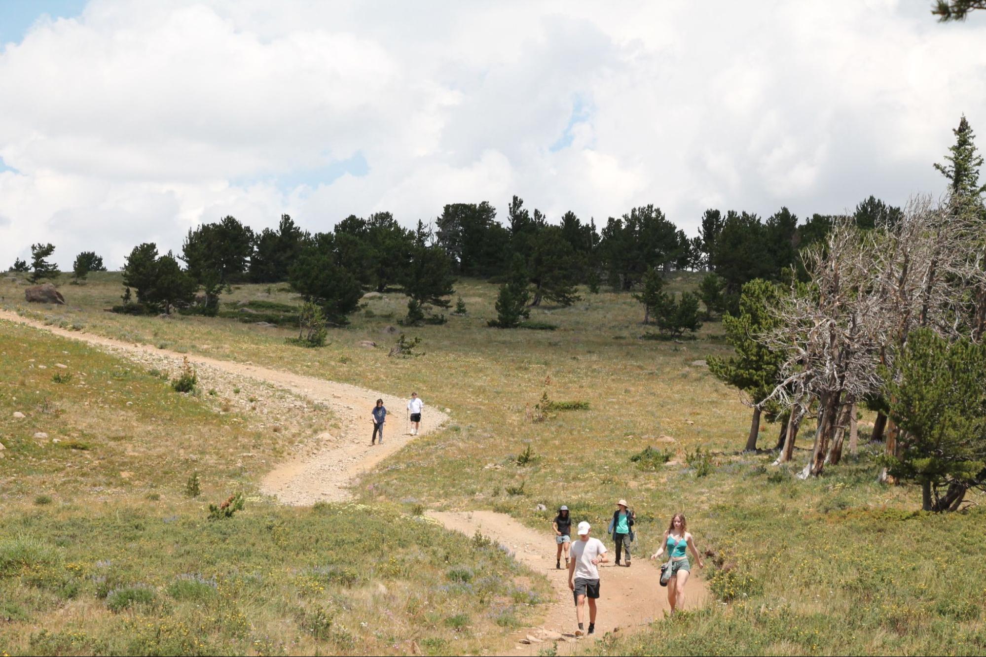colorado_hikers_image
