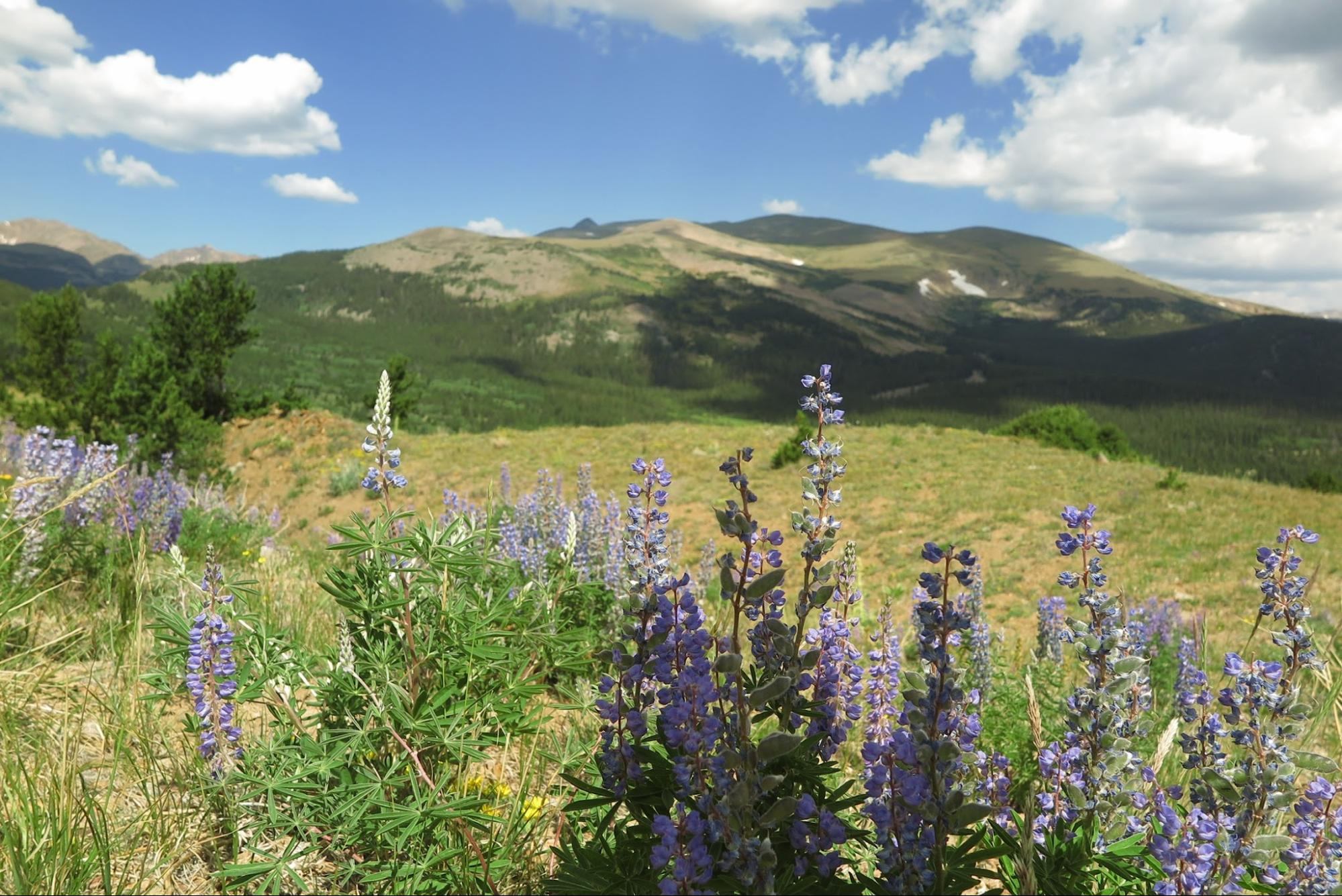 colorado_mountain_image