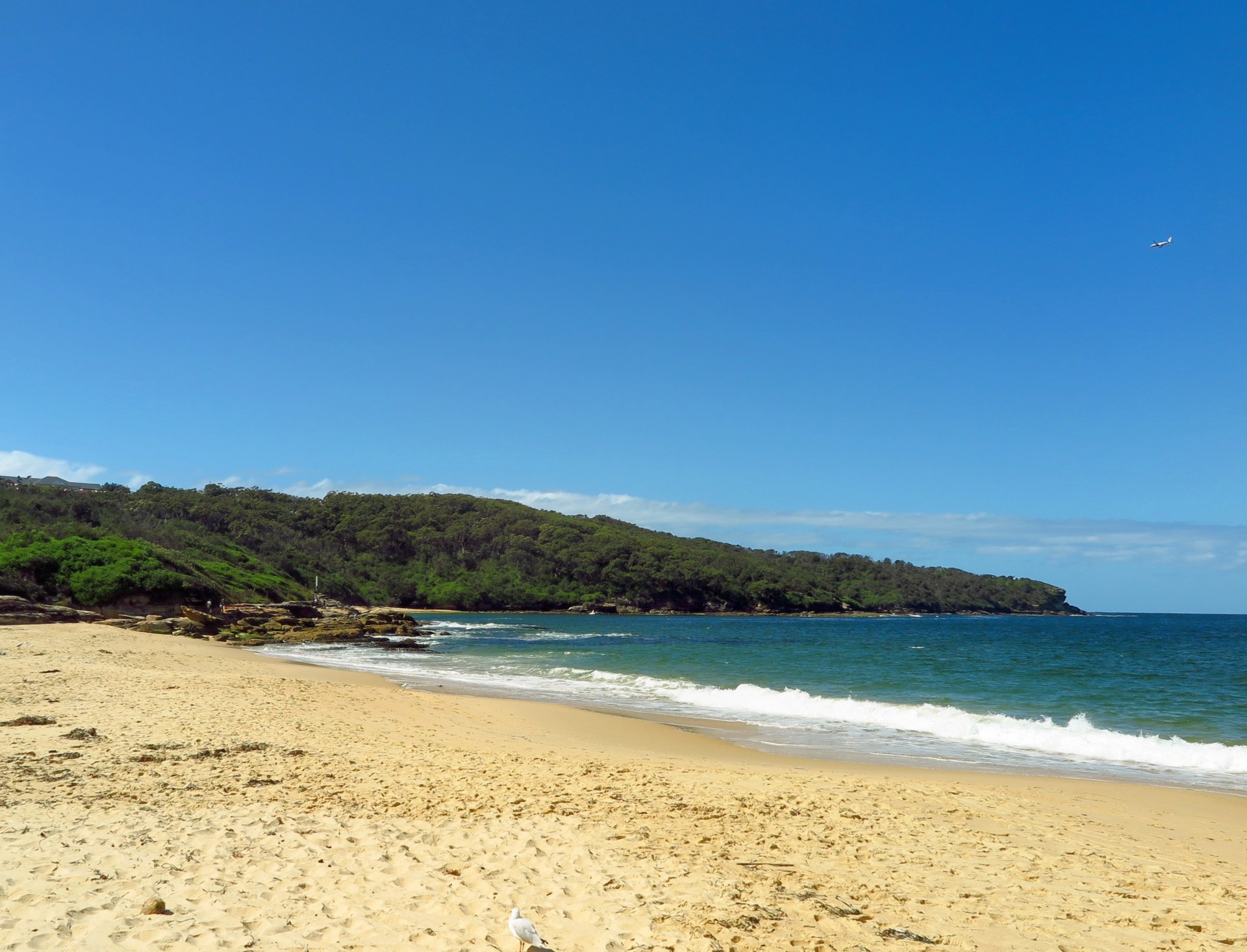 cove_image